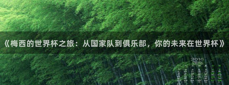 2026世界杯亚洲区预选赛赛程：《梅西的世界杯之旅：从国家队到俱乐部，你的未来在世界杯》