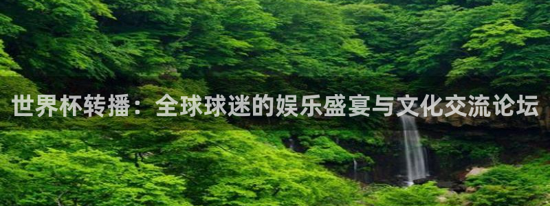 2026世界杯赛：世界杯转播：全球球迷的娱乐盛宴与文化交流论坛