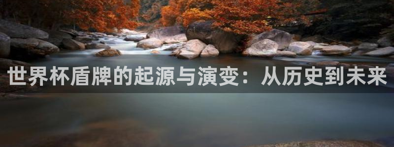世界杯亚洲区预选赛赛程表：世界杯盾牌的起源与演变：从历史到未来