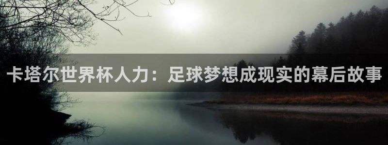 2026世界杯官网：卡塔尔世界杯人力：足球梦想成现实的幕后故事