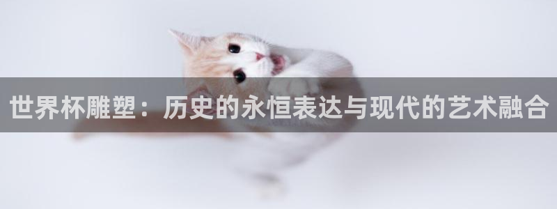 世界杯2026赛程：世界杯雕塑：历史的永恒表达与现代的艺术融合