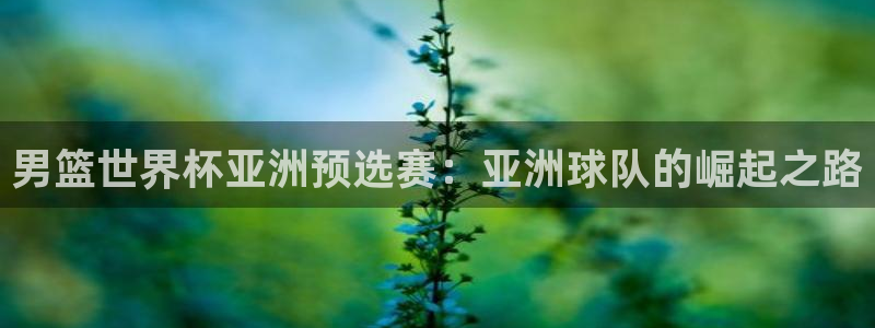 世预赛直播：男篮世界杯亚洲预选赛：亚洲球队的崛起之路