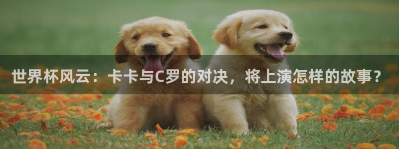 2026年世界杯赛程表时间：世界杯风云：卡卡与C罗的对决，将上演怎样的故事？