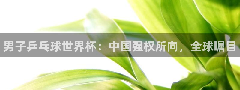 世界杯球赛：男子乒乓球世界杯：中国强权所向，全球瞩目