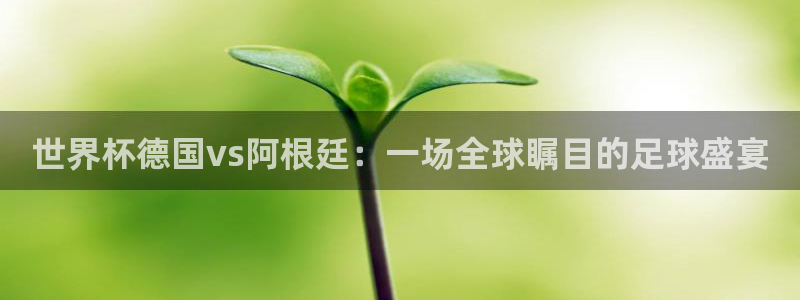 世界杯预赛赛程：世界杯德国vs阿根廷：一场全球瞩目的足球盛宴